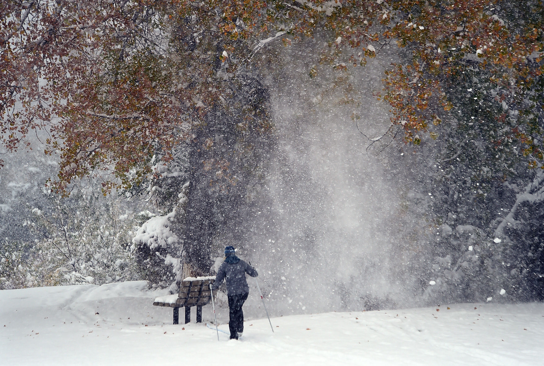 Billings snow scenes